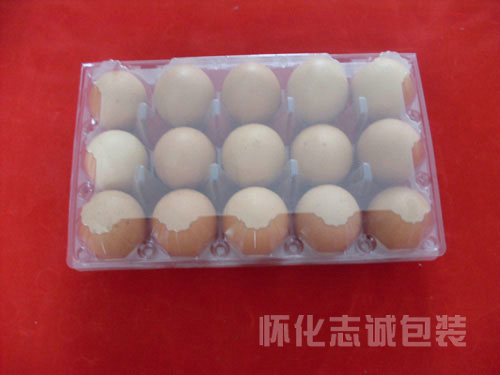 15枚長(cháng)方形雞蛋盒/ 懷化吸塑包裝廠(chǎng)家/懷化楊梅盒/懷化水果盒